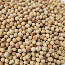 Lade das Bild in den Galerie-Viewer, Loriot Nahaufnahme