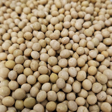 Lade das Bild in den Galerie-Viewer, Suzumaru Nahaufnahme