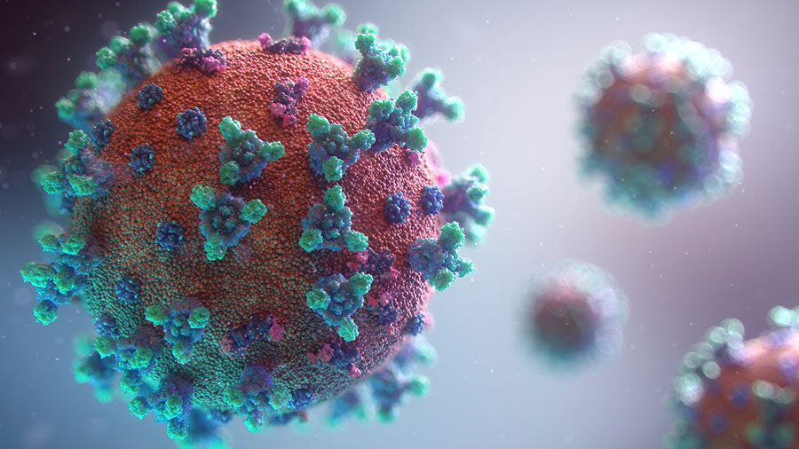 Nattō Extrakt hemmt virale Infektionen inklusive SARS-CoV-2 in vitro