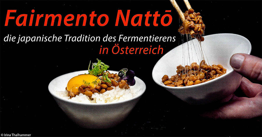 Die japanische Tradition des Fermentierens in Österreich