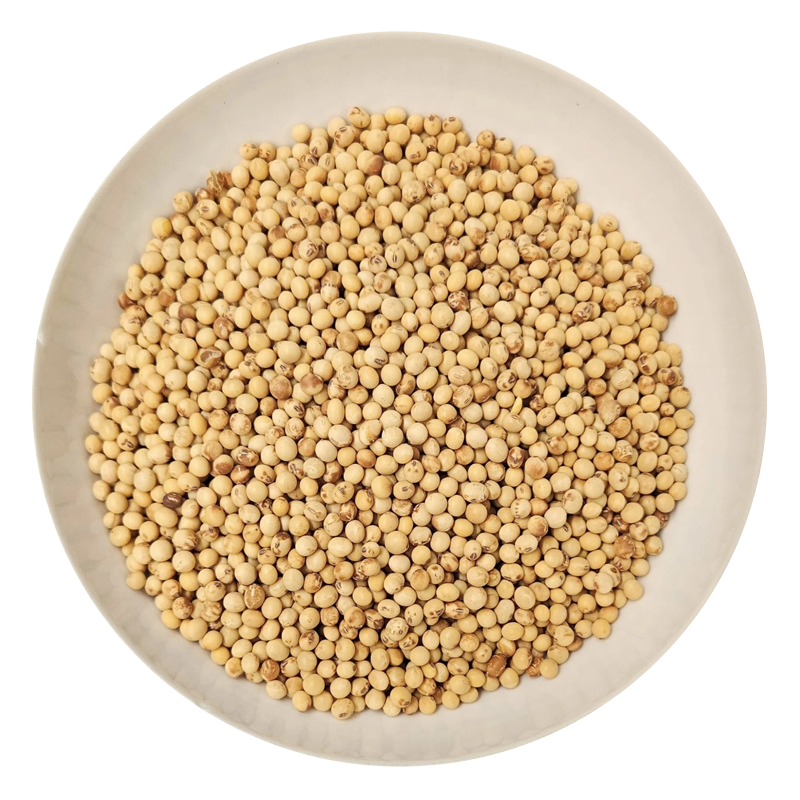 Bio-Sojabohnen Loriot für Natto – Farmento